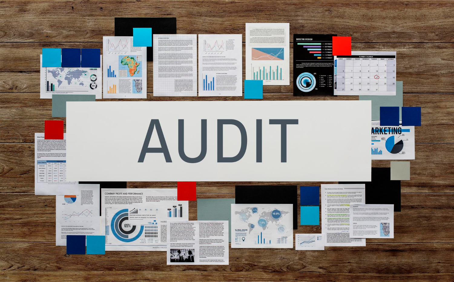 Outsourced Audit Support Services